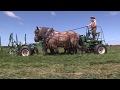 Horse-drawn Haying in a Day with a 24-foot Mower