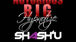 Shashu - Hypnotize Remix