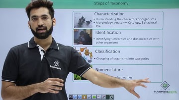Class 11th – Steps of Taxonomy | The Living World | Tutorials Point