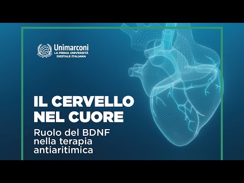 Video: La redazione è il cuore o il cervello di una pubblicazione?