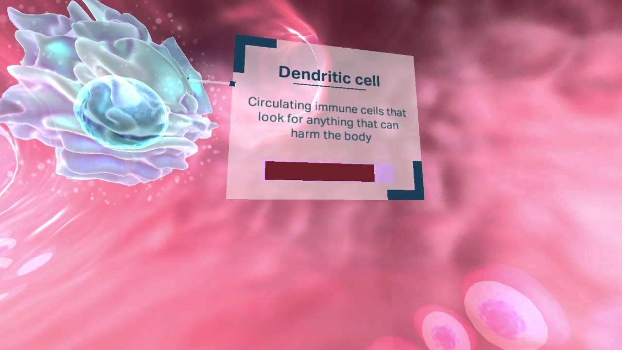 Cancer immunotherapy research - Oculus rift