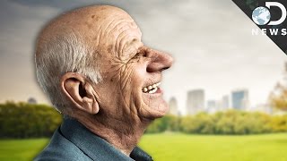 Why Old People Have Big Ears And Noses Why Old People Have Big Ears And Noses