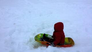 Adam Sledding