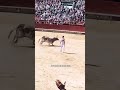 Hombre esquiba a TORO haciendo un movimiento nunca visto antes.//toromuyenojado #viral #shorts