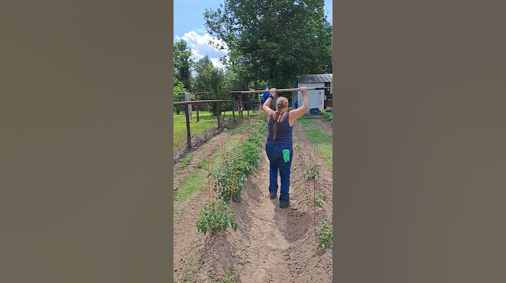 My wife ran 🏃‍♀️ off with my "HOE" #viral #farming #garden #shorts #homestead