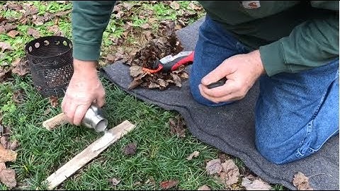 Given up on the Rudiger Roll aka Fire Roll? I ENCOURAGE you to try again!