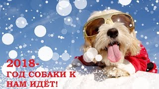 2018 год собаки к нам идёт! Поздравление. 2018 год собаки к нам идёт! Поздравление.