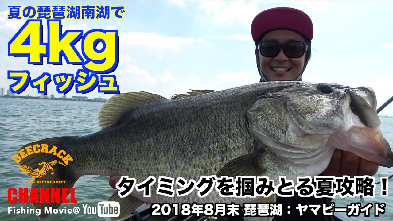 バス釣り 夏の琵琶湖南湖で4kgフィッシュ タイミングを掴み取る夏攻略 8月末ヤマピーガイド Youtube バス釣り 夏の琵琶湖南湖で4kgフィッシュ タイミングを掴み取る夏攻略 8月末ヤマピーガイド Youtube