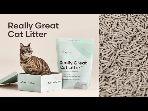 Really Great Cat Litter | Best Tofu Cat Litter 2023