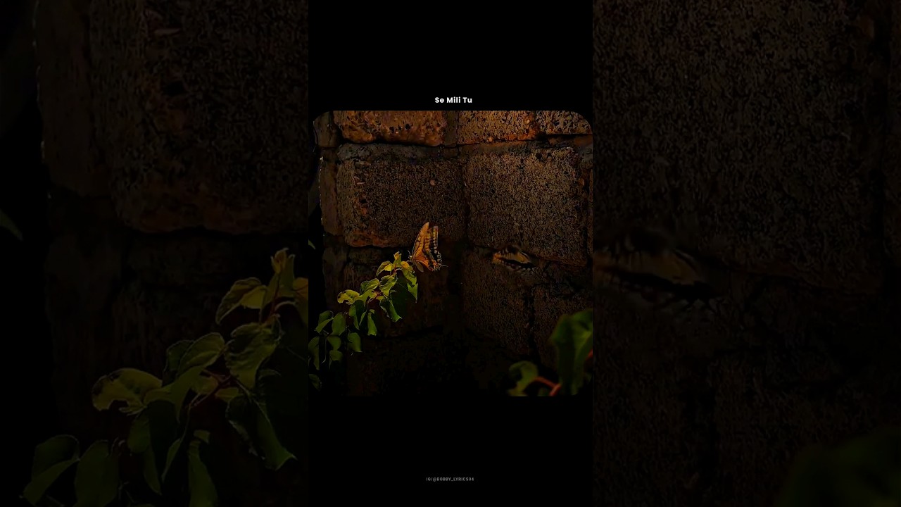 O MERI LAILA SONG STATUS FULL SCREEN 