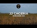 Sunflower with JJCaceria, Argentina dove hunting 2022