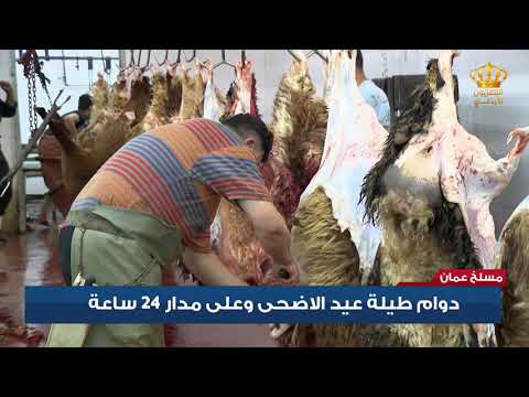 مسلخ عمان دوام طيلة عيد الأضحى وعلى مدار 24 ساعة