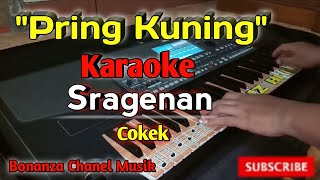 Pring Kuning Karaoke Koplo Sragenan Cover KORG pa600