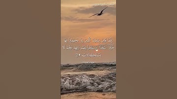 سورة السجدة من  آية 14 إلى آية 16 بصوت الشيخ ياسر الدوسري♥♥