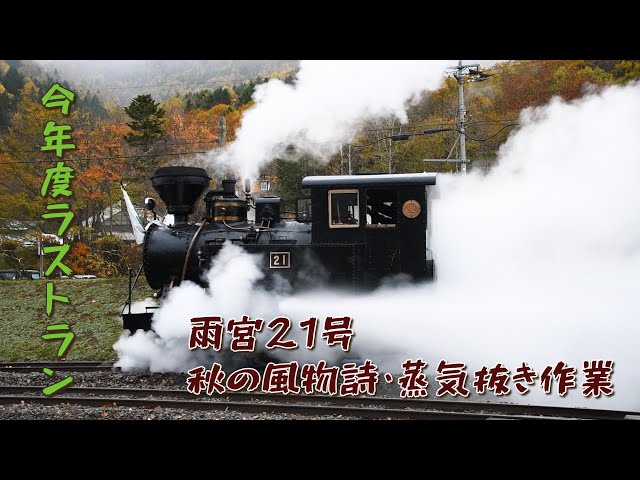 いこいの森閉園式 森林蒸気機関車・雨宮21号今年最後の運行/蒸気