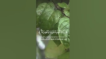 سورة التحريم _ قراءة الشيخ احمد خضر #المصحف #اكسبلور #المصحف #duet