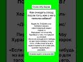 Как очищать сосуд после того, как с него попила собака?