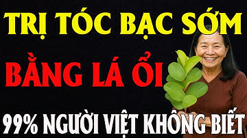 Không Cần Nhuộm Tóc! Trị Tóc Bạc Sớm Bằng Lá Ổi, Bất Ngờ Tóc Đen Nhánh Chỉ Sau 1 Tuần!