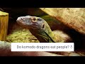 Do Komodo Dragons Eat Their Babies? | Weird Animal Searches | BBC Earth