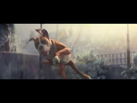 John Lewis Christmas Advert 2016 (Buster The Boxer)