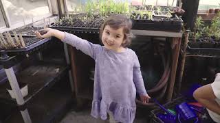 Early Childhood Education through 12th Grade -   MUSE Global School Calabasas California