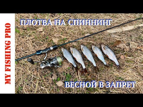 КАК поймать ПЛОТВУ на СПИННИНГ в ЗАПРЕТ