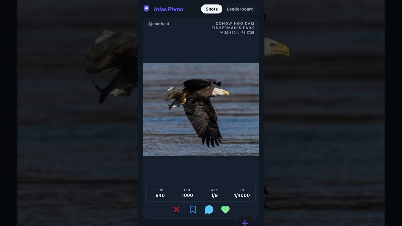 your camera roll deserves feedback like this 📸🌴 #photography #photoreview #travel #creator #camera