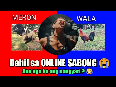 Online Sabong Nga Ba Ang Dahilan L Online Sabong Funny Memes L Youtube