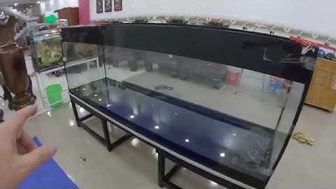 Tự làm hồ cá Rồng cực khủng, nặng 1 Tấn - DxRxC: 2.2x0.6x0.75m