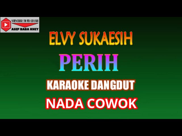 KARAOKE DANGDUT PERIH - ELVY SUKAESIH (COVER) NADA COWOK Gminor class=