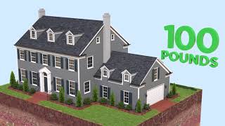 Subterranean Termites: The Costly Truth