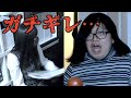 １０月限定公開。