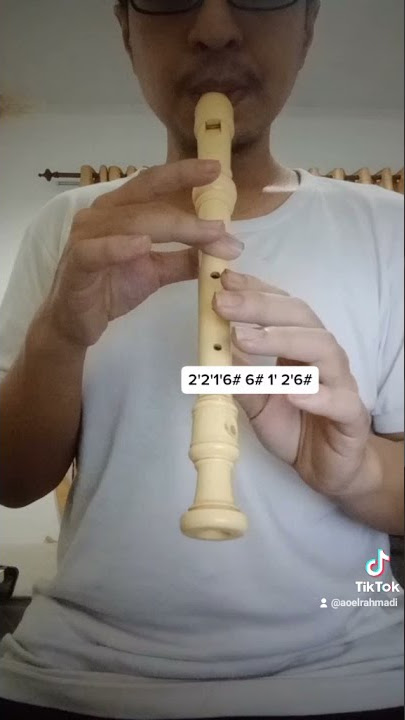 C.H.R.I.S.Y.E - DISKORIA, LALEILMANINO, EVA CELIA | TUTORIAL RECORDER TIKTOK VIRAL