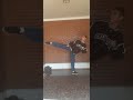 Chutes basicos demonstrativo #martialarts #taekwondo