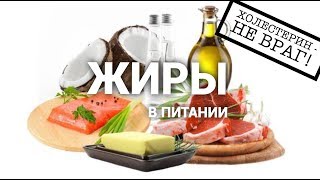 ЖИРЫ в питании. ХОЛЕСТЕРИН - не враг! ЖИРЫ в питании. ХОЛЕСТЕРИН - не враг!