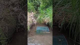 Spot Bagus Buat Prangkap Ikan Di Pertigaan Air