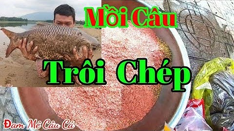 Câu Cá TV Mồi Câu Cá Trôi, Chép, Rô Phi, Hiệu Quả - Dễ Làm Nhí CuTe