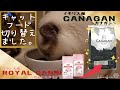 【猫のフード（餌）切り替え方法を解説】猫飼い始めの方にお勧めです！