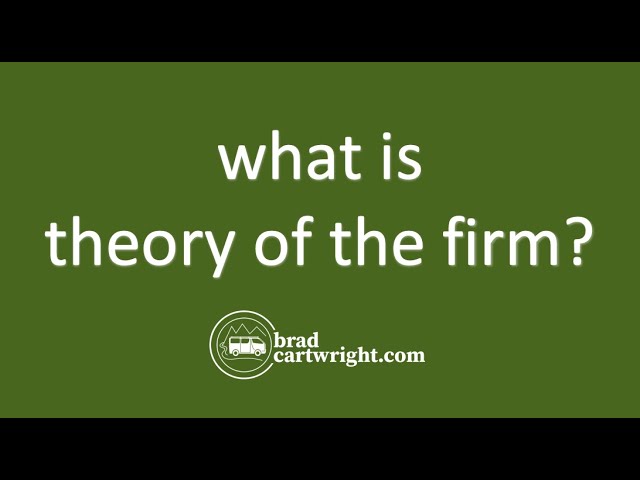 What is Theory of the Firm? | Introduction and Overview | IB Microeconomics | Market Power What is Theory of the Firm? | Introduction and Overview | IB Microeconomics | Market Power