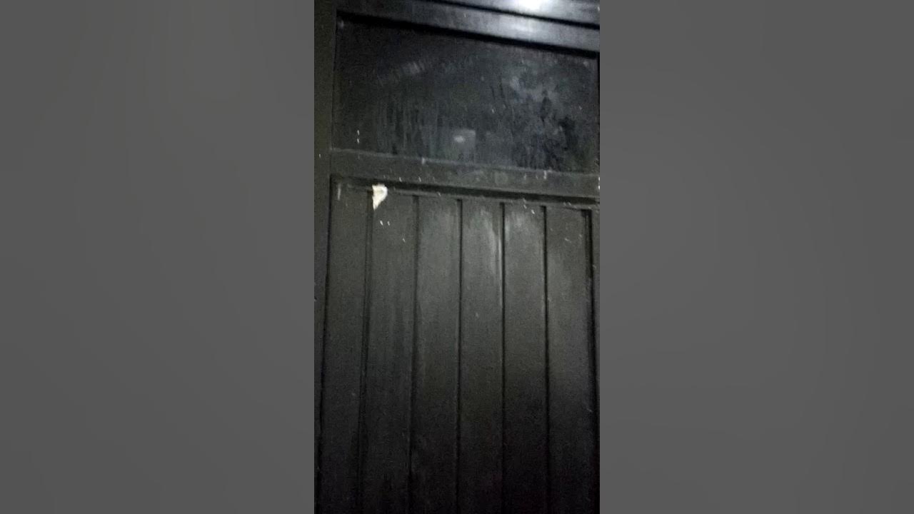 Video di wc. Video di wc