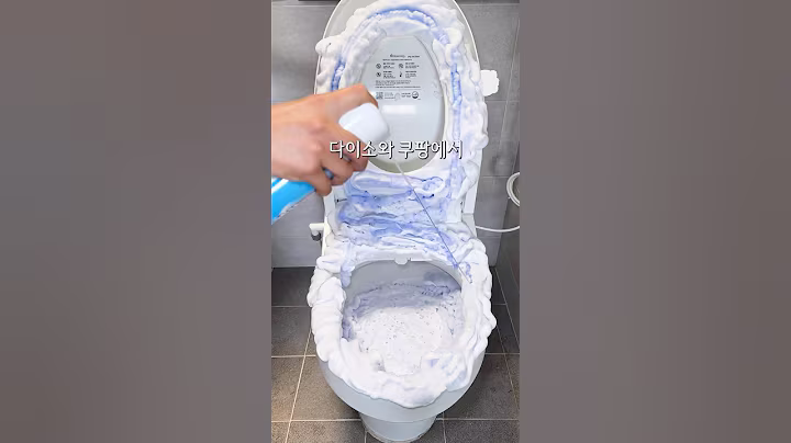 다이소와 쿠팡에서 찾은 욕실 청소 꿀템 6가지