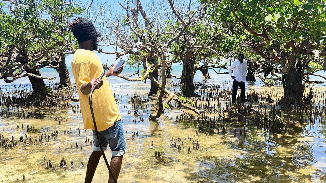 The Day Of The Punishment😅😅 Tonny Samson And Jeff In Trouble.... Angry Holy One On Them....