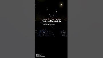 #سورة_القصص  #قران_كريم #المصحف #اكسبلور #حالات_واتس #ياسر_الدوسري #راحة_نفسية #السعادة_الإيمان
