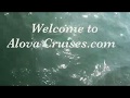 Alova cruises  halong bay vietnam