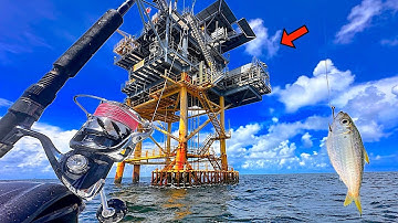 Vissen met LEVEND AAS! onder dit GASPLATFORM voor mijn DINER! [Vangen, Schoonmaken, Koken]