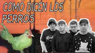 Como dicen los perros - One Coin GUITARRA Tutorial | Acordes