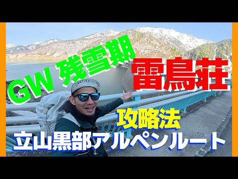 【サボ　愛称板】（表）立 山 TATEYAMA （裏）アルペン ALPINE サボ 愛称板】（表）立 山 TATEYAMA（裏） アルペン ALPINE