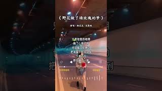 杨友友 /Yang You You 《野花做了场玫瑰的梦》Ye hua zuo le chang mei gui de meng