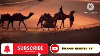 Surah Yasin | Yaseen | Full with Arabic | Quran tilawat |