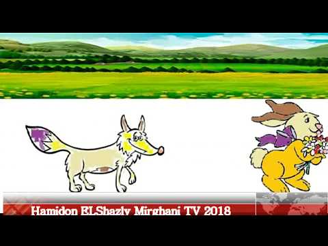 الارنب والثعلب طيور درغام